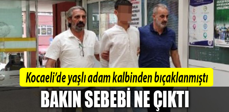 kocaeli katil