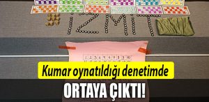 kocaeli kumar