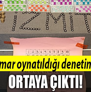 kocaeli kumar