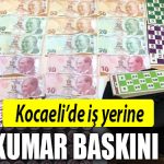 kocaeli kumar baskini