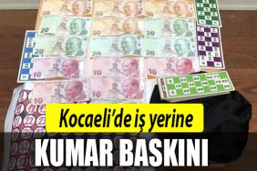 kocaeli kumar baskini