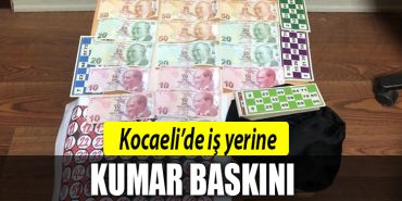 kocaeli kumar baskini