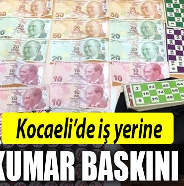 kocaeli kumar baskini