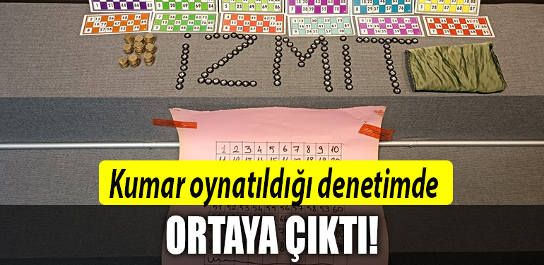 kocaeli kumar