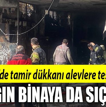 kocaeli yangin