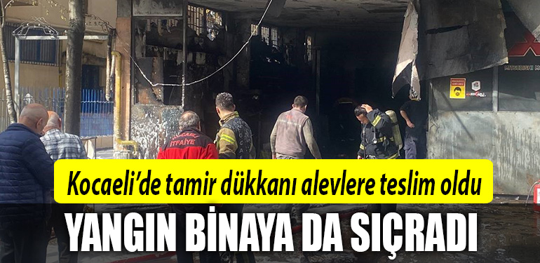 kocaeli yangin