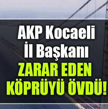 kodgsdbg
