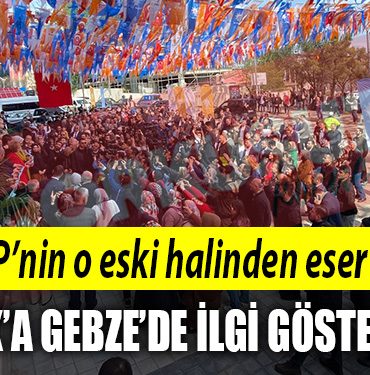 mustafa varank gebze akp skm
