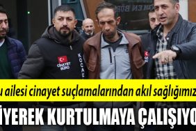 palu ailesi