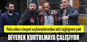 palu ailesi