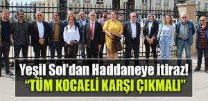 yesil sol kocaeli