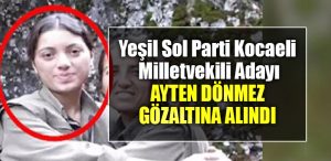yesil sol parti kocaeli