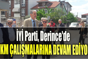 İYİ Parti Kocaeli, Derince'de Skm çalışmalarına devam ediyor