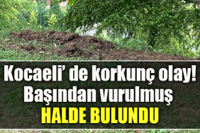 Kocaeli' de silahla başından vurulmuş halde erkek cesedi bulundu