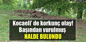 Kocaeli' de silahla başından vurulmuş halde erkek cesedi bulundu