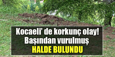 Kocaeli' de silahla başından vurulmuş halde erkek cesedi bulundu