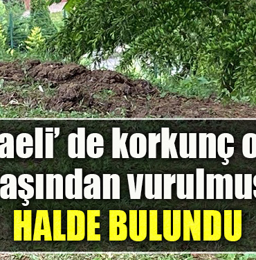 Kocaeli' de silahla başından vurulmuş halde erkek cesedi bulundu