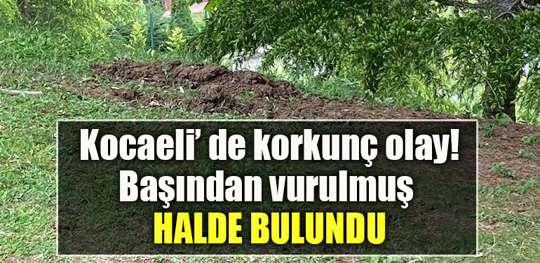 Kocaeli' de silahla başından vurulmuş halde erkek cesedi bulundu