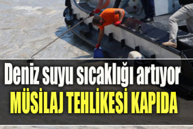 Marmara denizinin sıcaklığı artıyor. Müsilaj tehlikesi kapıda