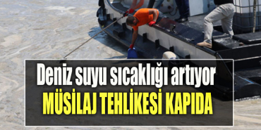 Marmara denizinin sıcaklığı artıyor. Müsilaj tehlikesi kapıda