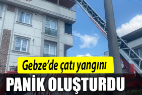 PANİK