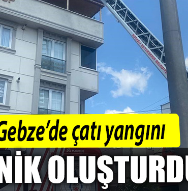 PANİK