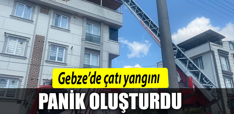 PANİK