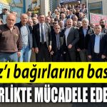 Sanbaz Yildizi bagirlarina bastilar