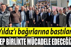 Sanbaz Yildizi bagirlarina bastilar