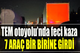 TEM Otoyolu Kocaeli geçişinde 7 araçlı zincirleme kaza