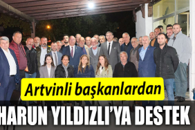YILDIZLI