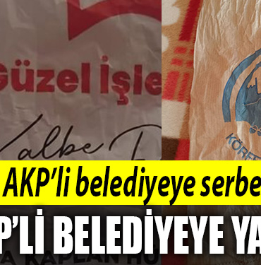 akp chp
