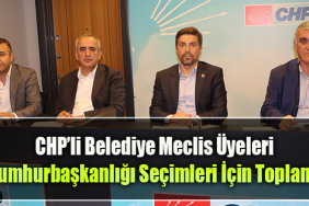 chp