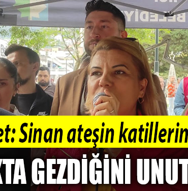 hürriyet sinan ateş