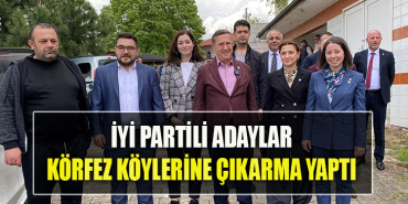 iyi parti