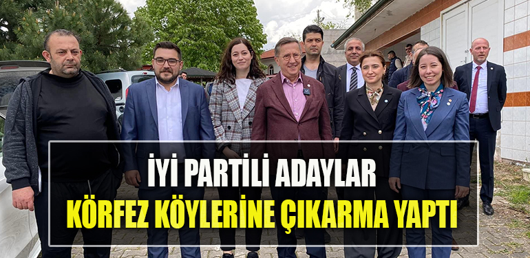 iyi parti