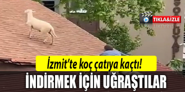 izmit koç