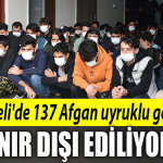kocaeli afgan uyruklu