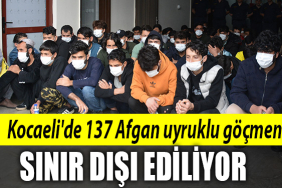 kocaeli afgan uyruklu