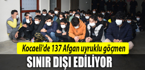 kocaeli afgan uyruklu