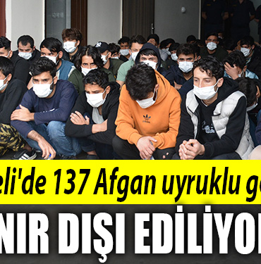 kocaeli afgan uyruklu