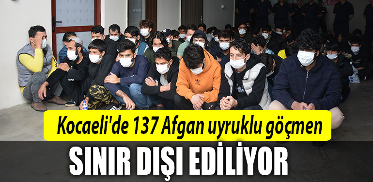 kocaeli afgan uyruklu