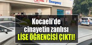 kocaeli cinayet