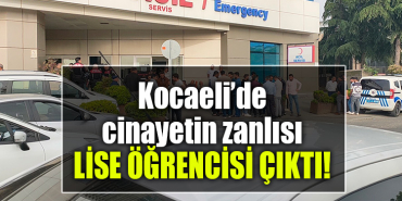 kocaeli cinayet