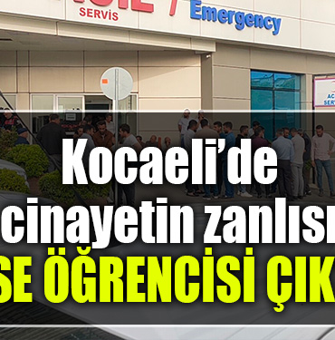 kocaeli cinayet