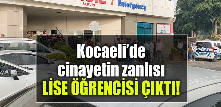 kocaeli cinayet