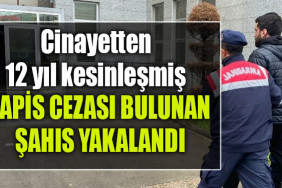 kocaeli cinayet