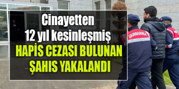 kocaeli cinayet