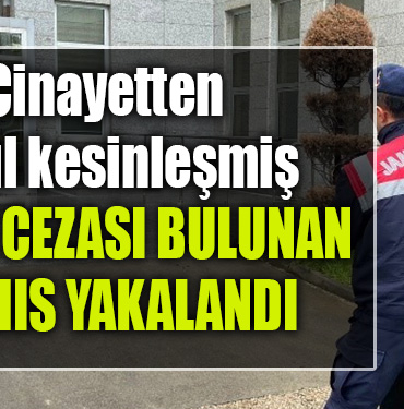 kocaeli cinayet