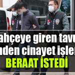 kocaeli cinayet tavuk